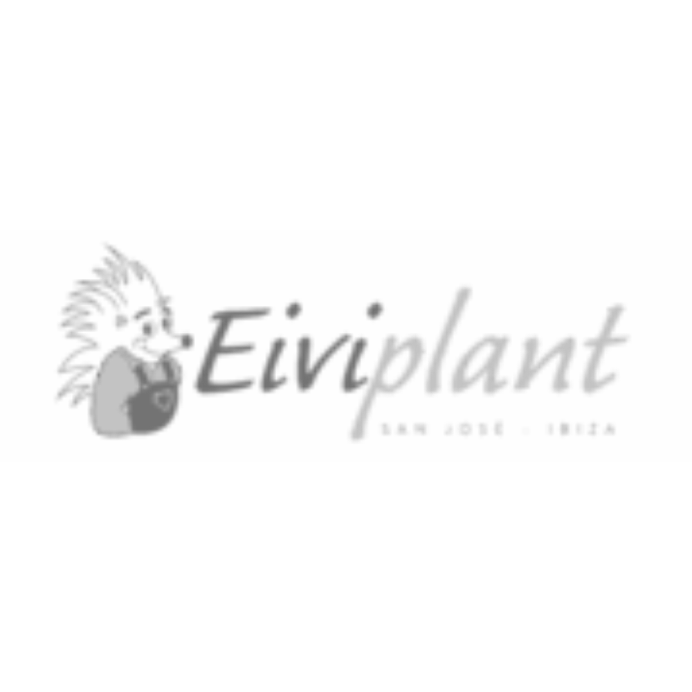 Eiviplant