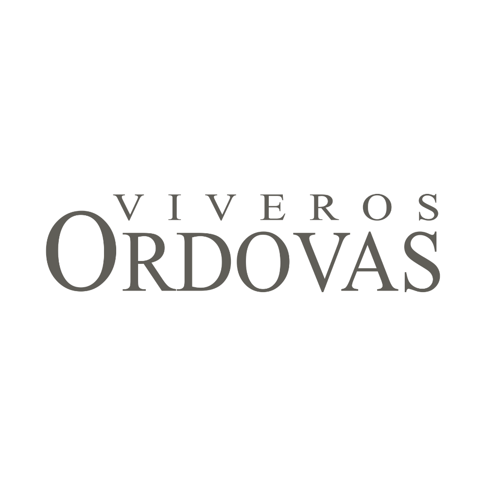 Ordovas