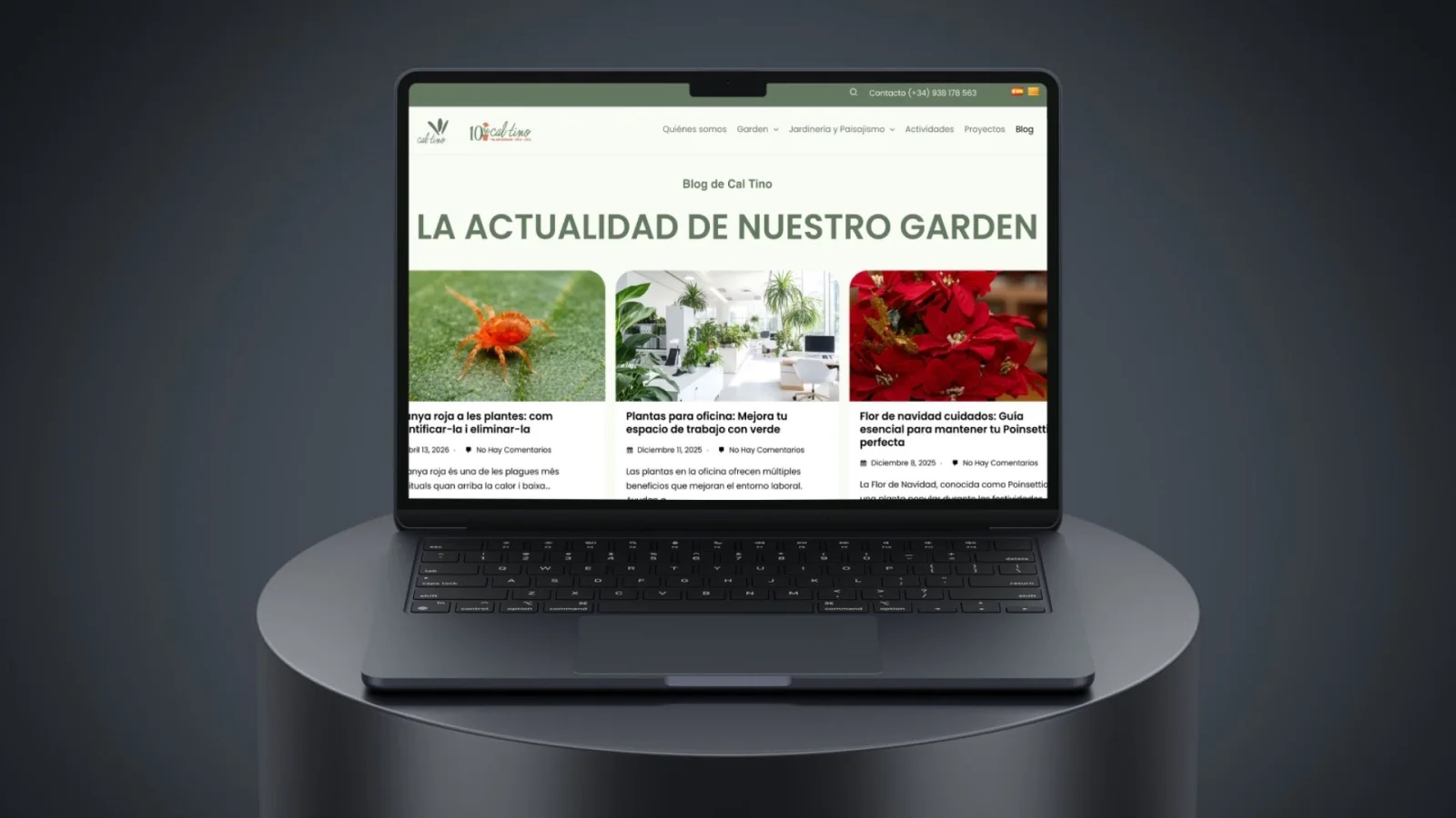 Página de la web desarrollada para Cal Tino