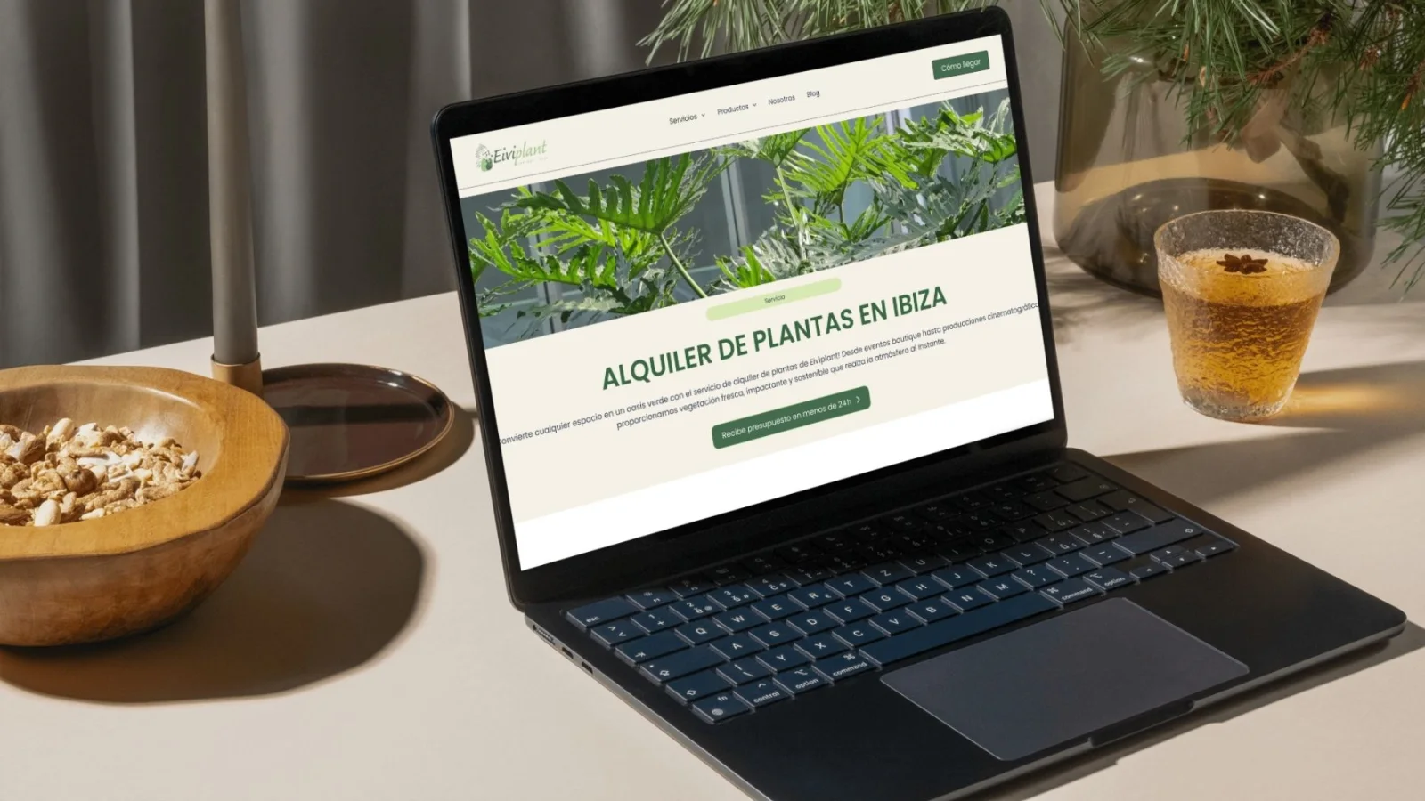 Página de servicios de Eiviplant