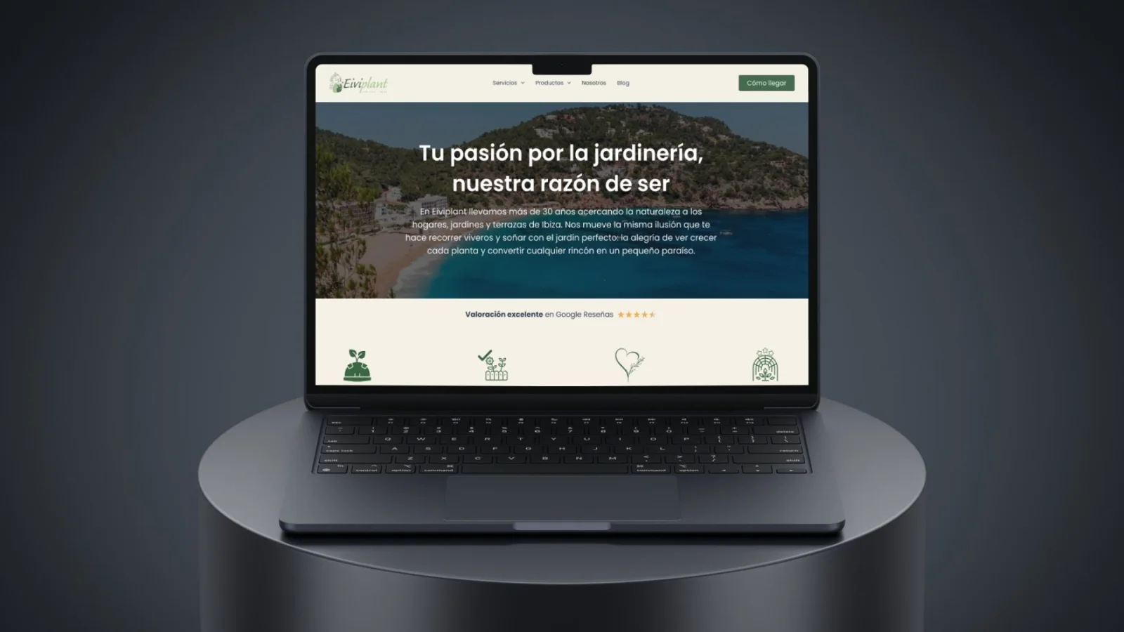 Página de la web desarrollada para Eiviplant