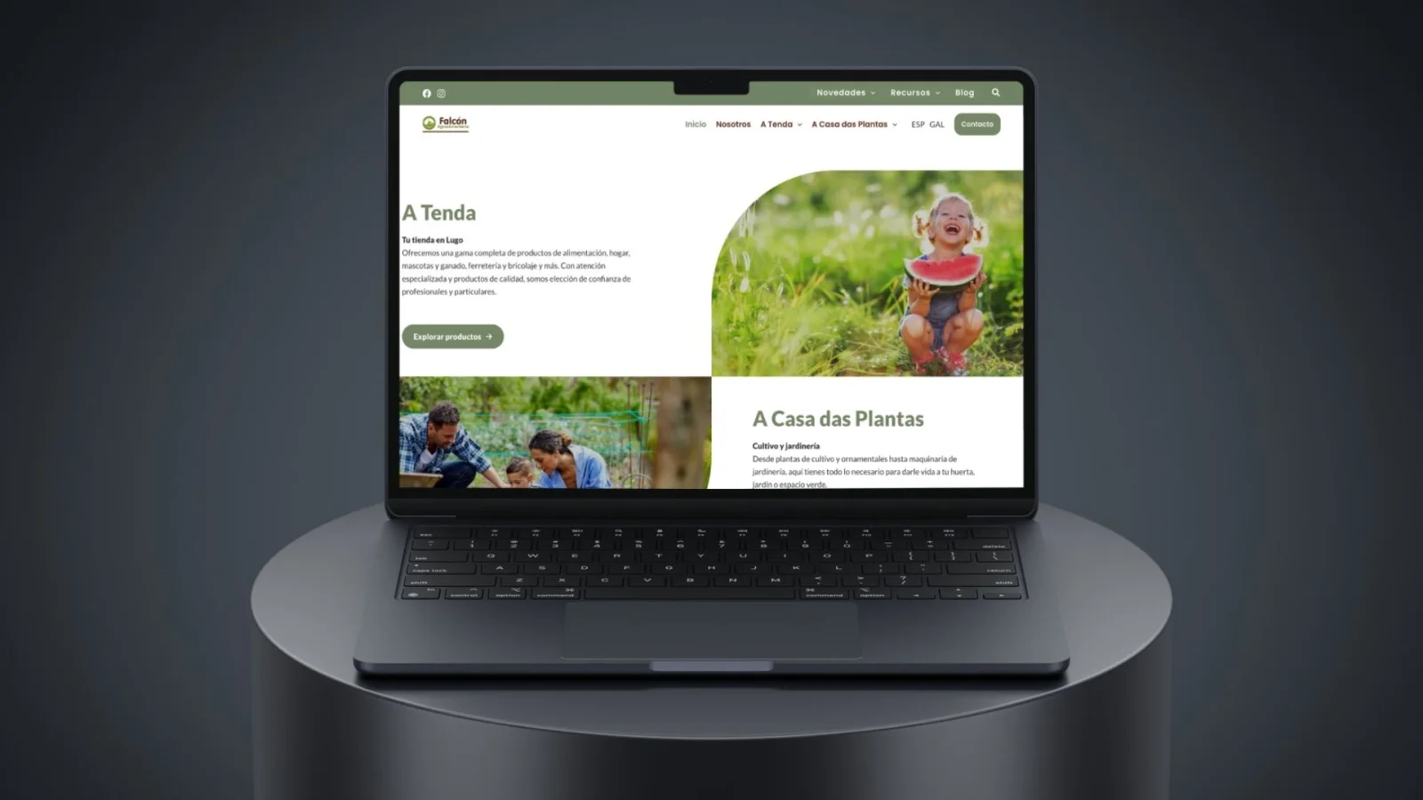 Página de la web desarrollada para Falcón Agroalimentaria