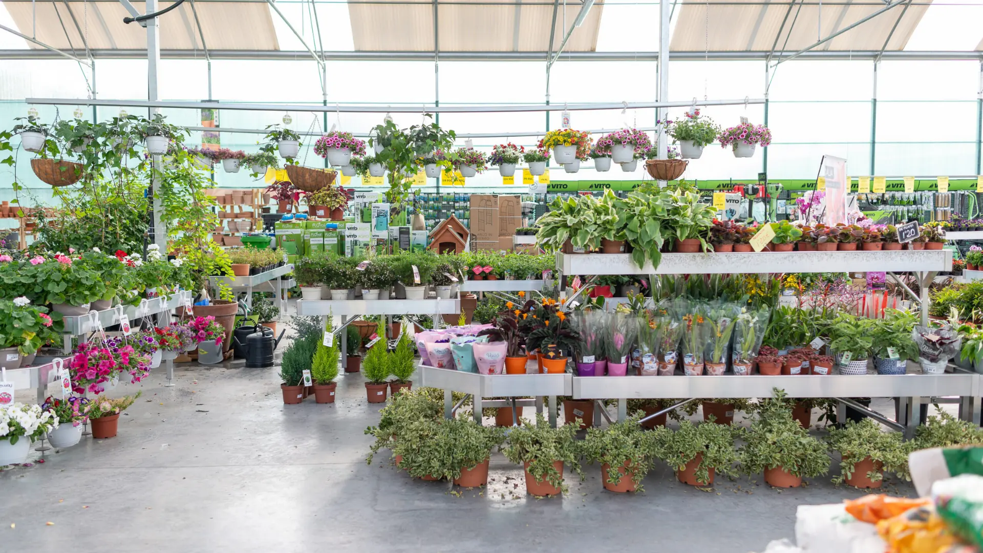 Interior de Falcón Agroalimentaria con plantas y productos de jardinería