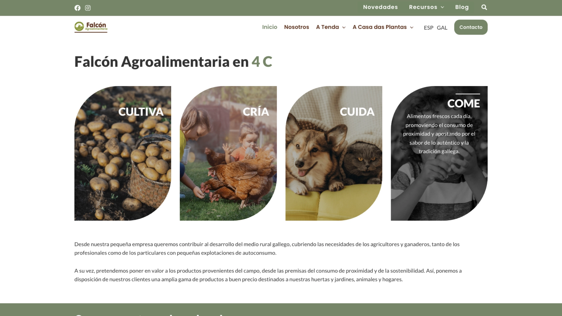 Nueva web de Falcon Agroalimentaria: optimizada, rápida y con SEO trabajado
