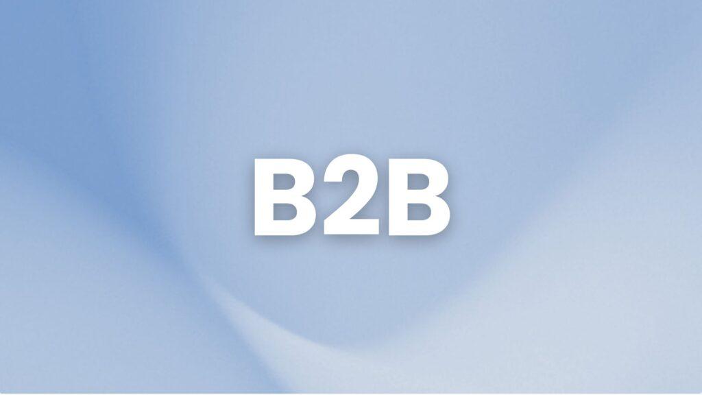 Portal B2B
